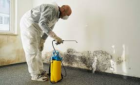 Best Water Damage & Mold Remediation  in Boonsboro, MD