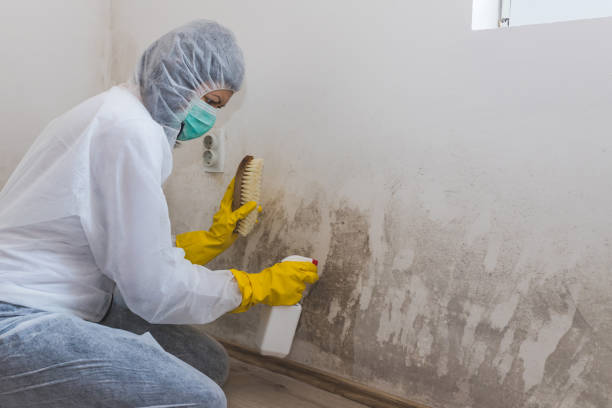 Best Asbestos and Lead Testing During Mold Inspection  in Boonsboro, MD