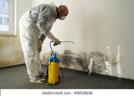 Best Basement Mold Removal  in Boonsboro, MD